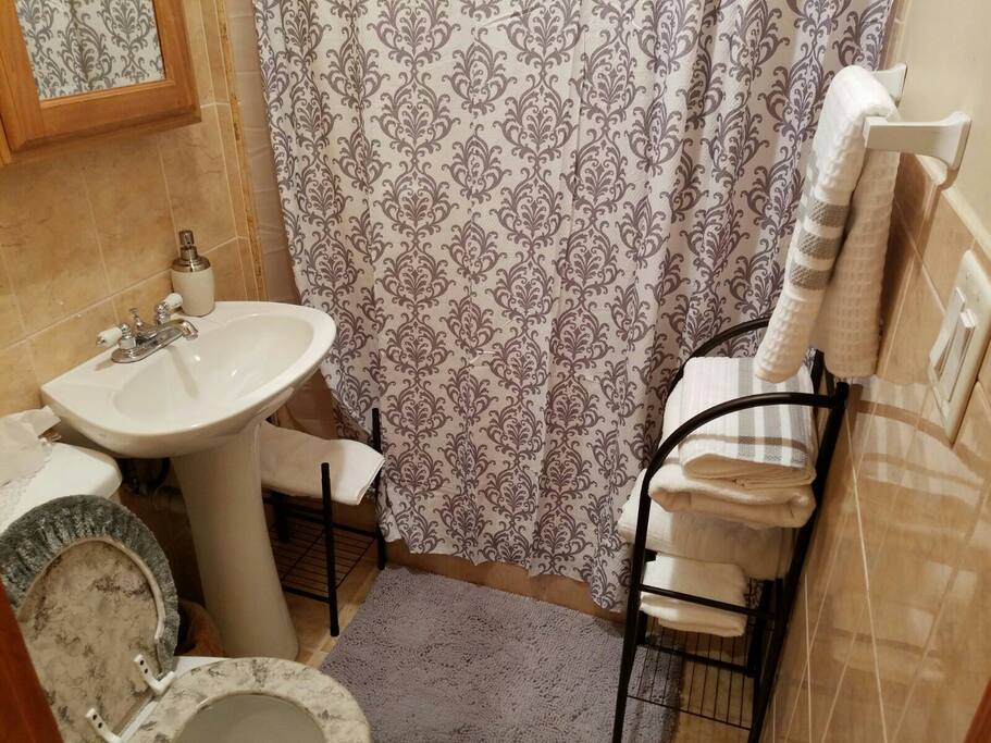 clean bathroom you will have a great shower here