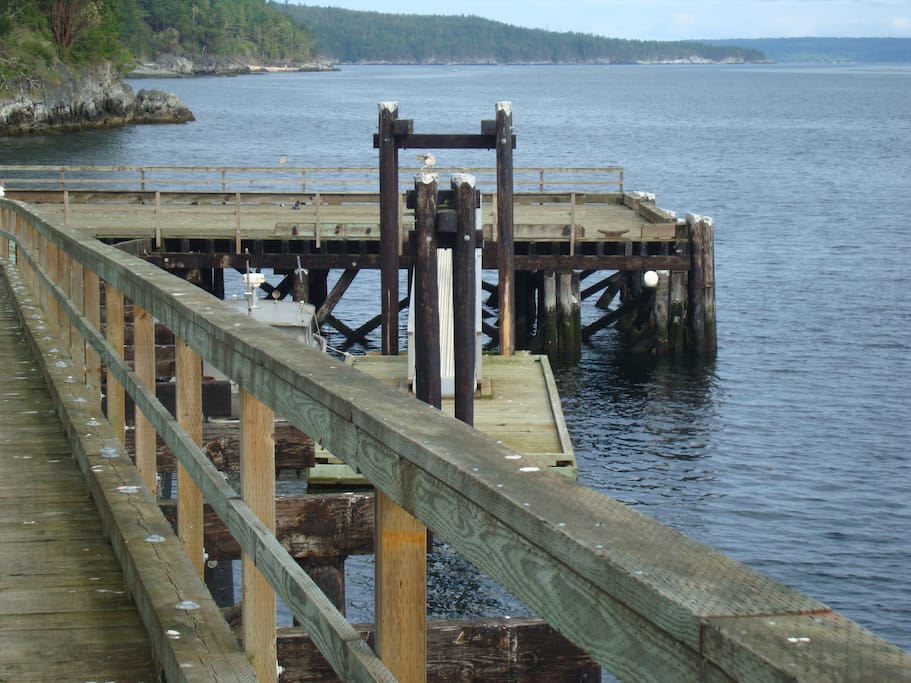 Walk to wharf - might see whales, dolphins, and sea birds & seals for sure!