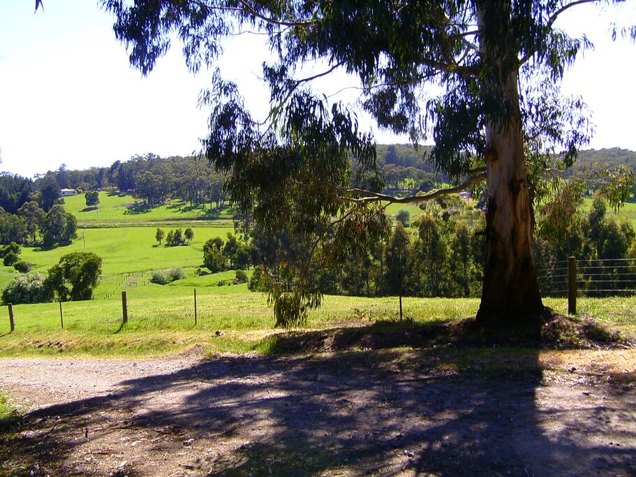 Surrounded by country life and rolling hills.