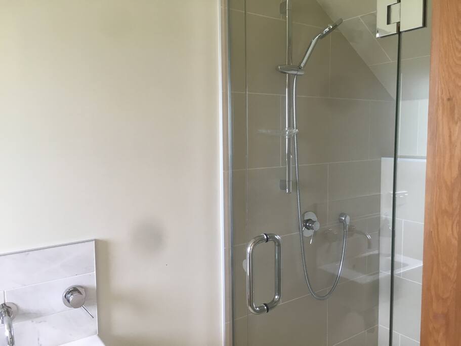 Beautifully finished shower and toilet.
