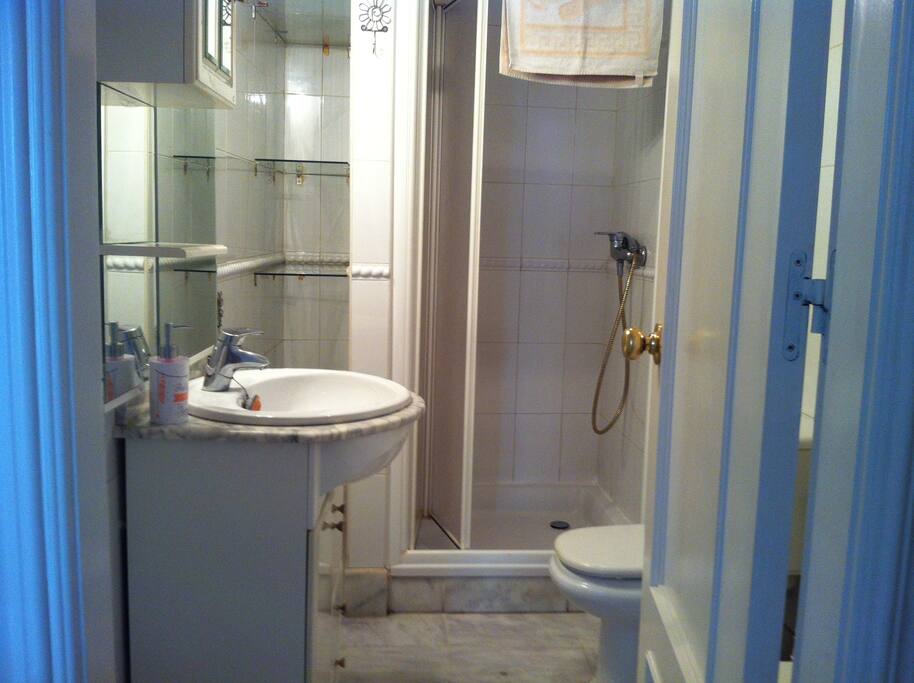 BAÑO CON DUCHA EN D. MATRIMONIO