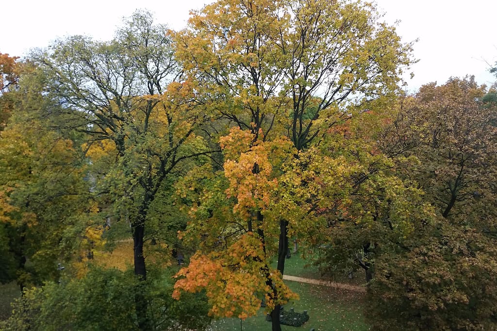 view from the balcony