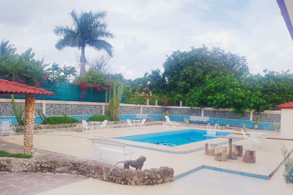 Piscina para uso exclusivo de los huéspedes disponible hasta las 12:00am.