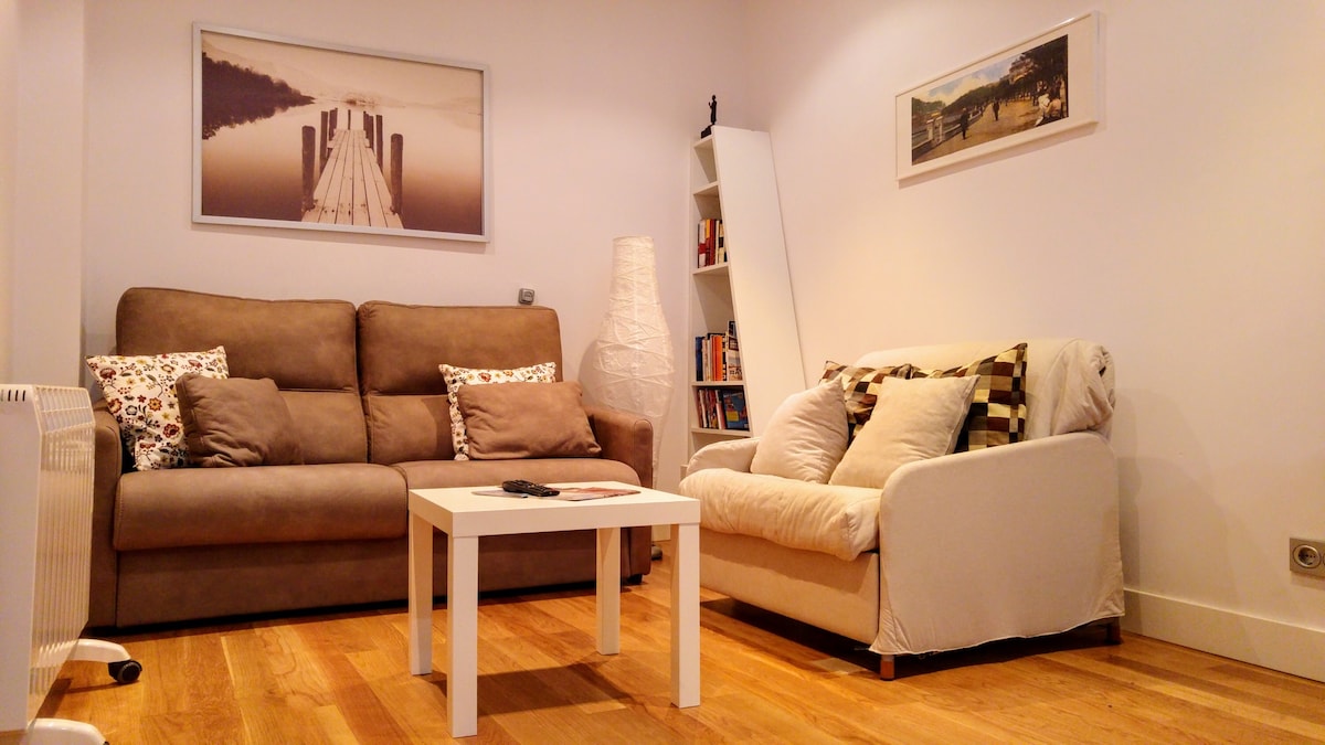 Airbnb con mejor rendimiento: Renovated apartment in a pedestrian pintxos area en Gipuzkoa