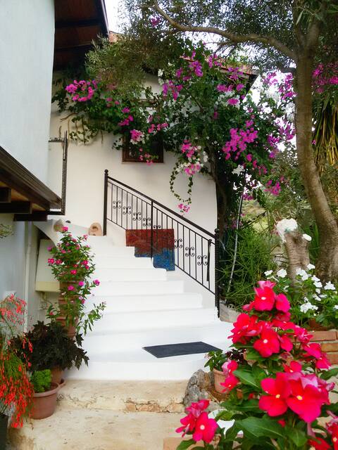 Seafront Studio & Wide Terrace