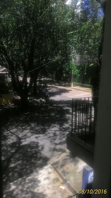 Rua tranquila e com várias arvores