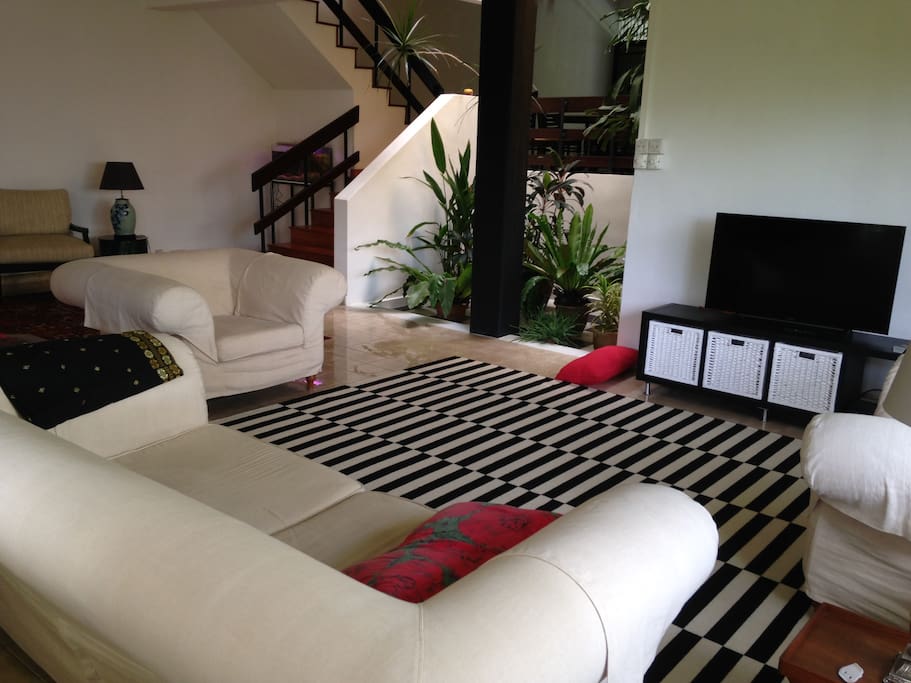 living room with TV