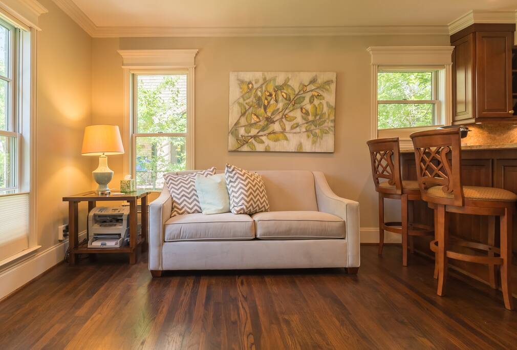 comfortable couch that converts to a double sleeper sofa.