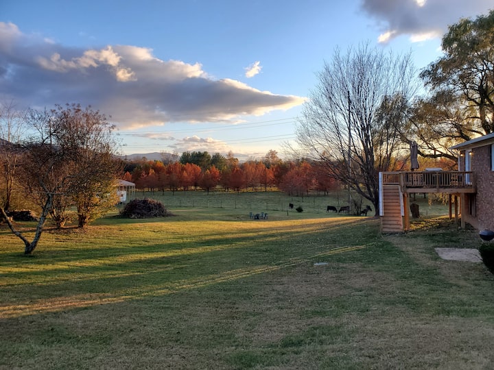 Updated! Stunning country home near main street Houses for Rent in