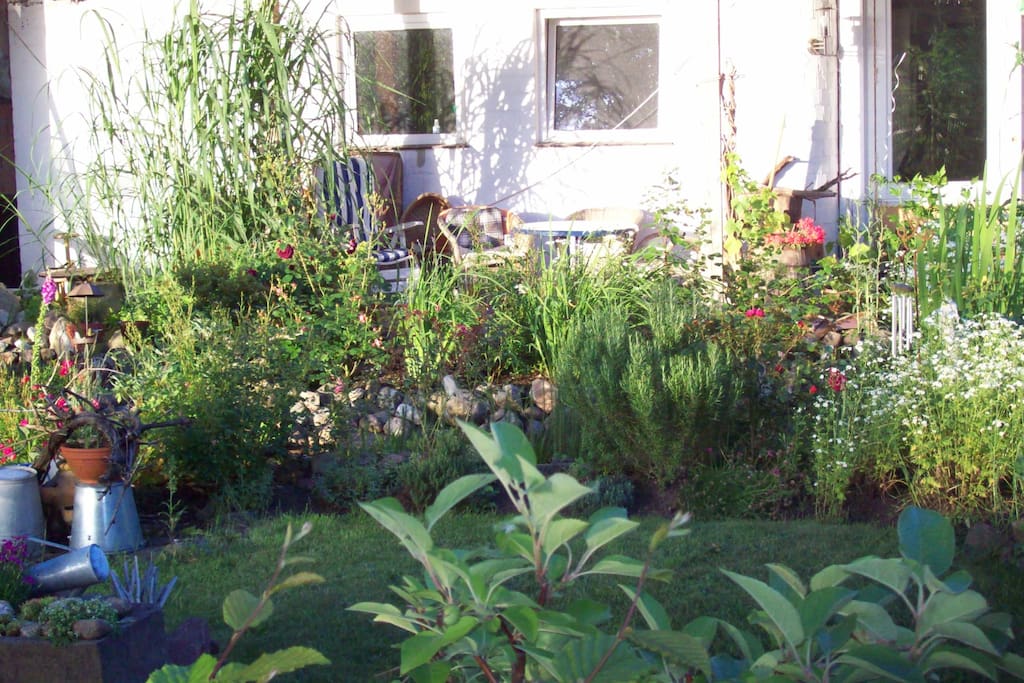 blick auf die vordere terrasse