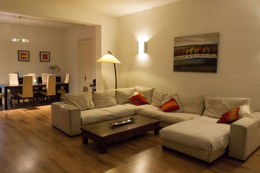 Our Super Cozy Linving Room :)