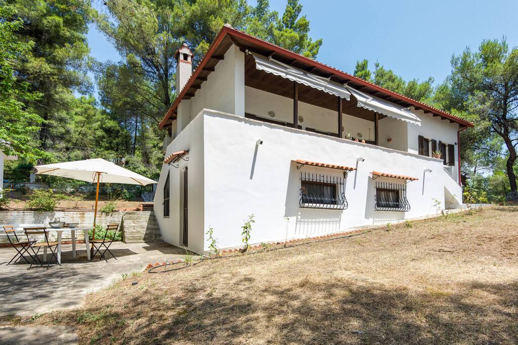 general view from the garden, main house and attached studio on the ground floor.