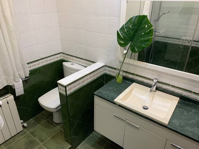 BILBAO CENTRE and near GUGGENHEIM MUSEUM gallery image 5