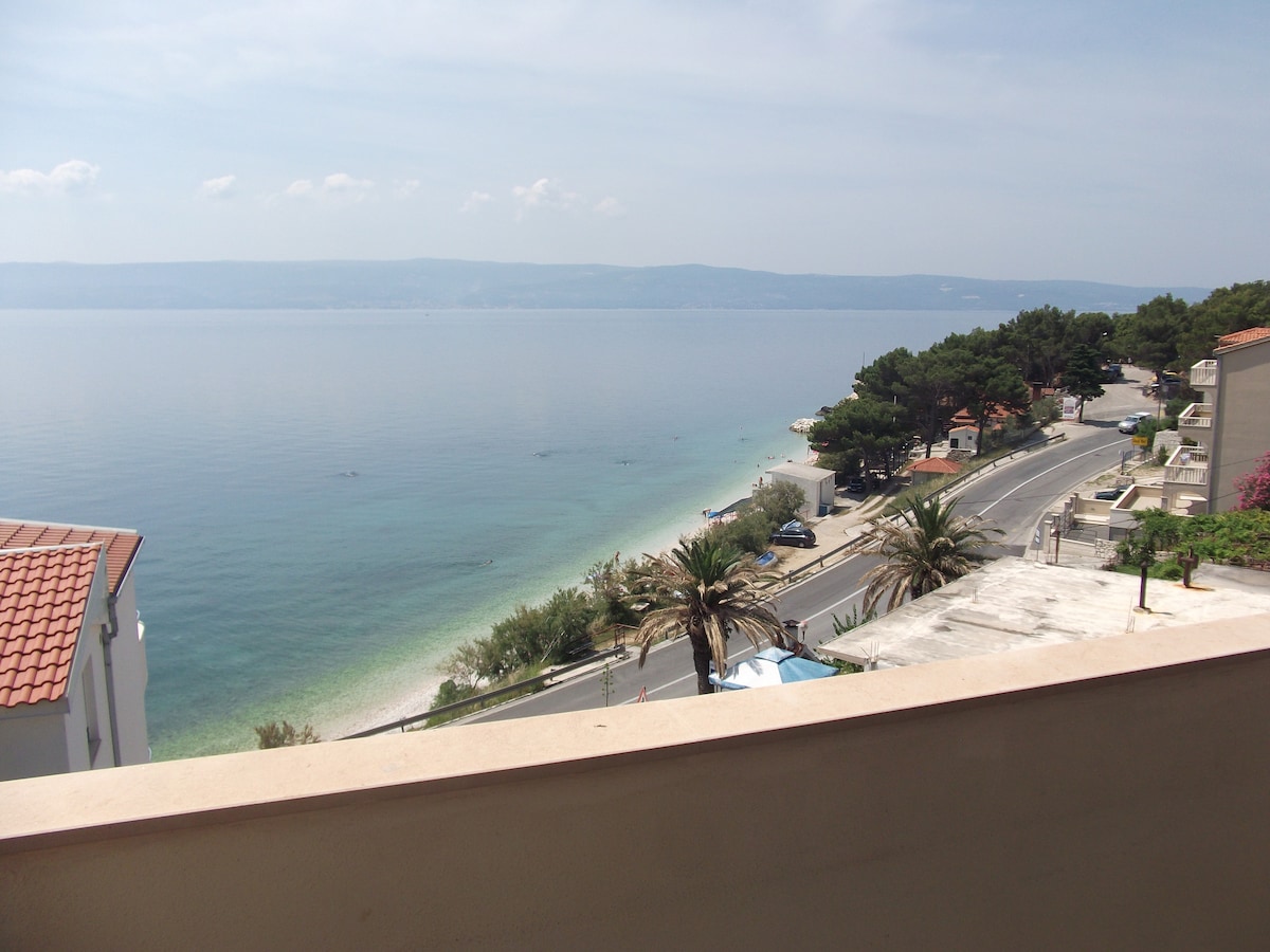 A scenic view from the terrace captures the calm sea extending to distant hills, with a sandy beach visible along the shoreline. Lush palm trees line the coastal road, while charming residential buildings can be seen in the foreground.