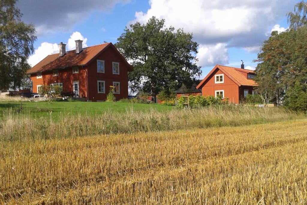 Gården från åkersidan. Torpet ligger höger och vårt boningshus med spapoolen ligger till vänster.