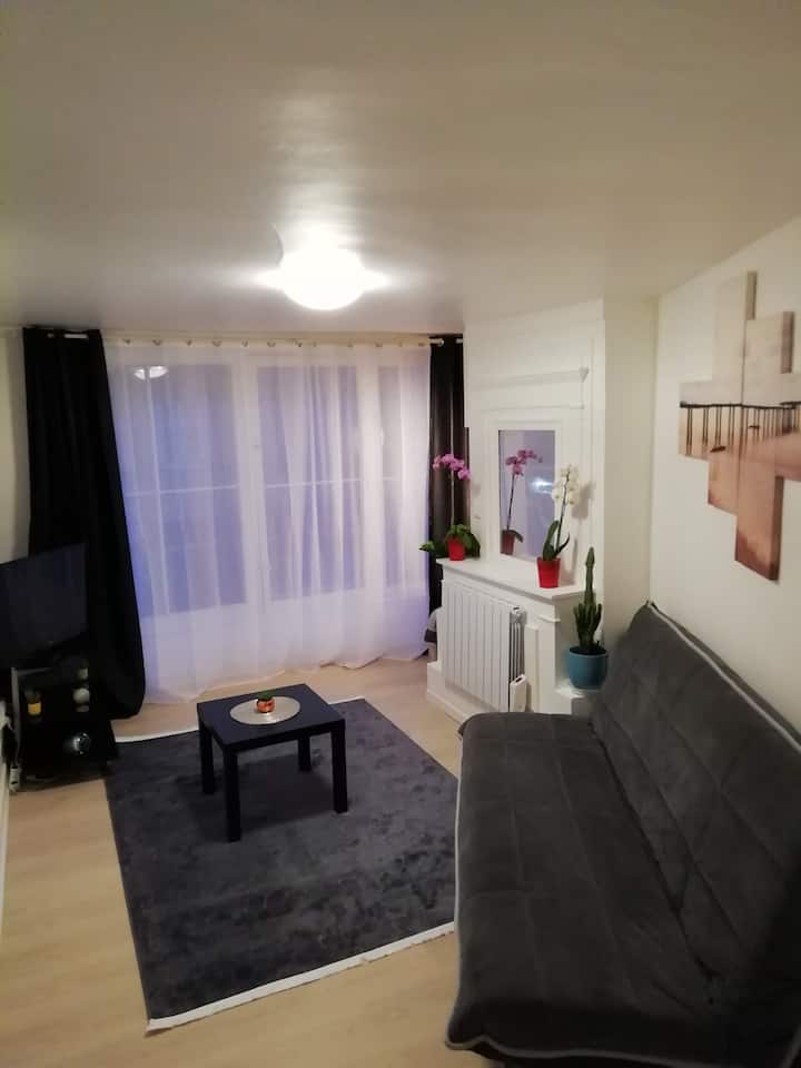 Coeur de Rouen (Hypercentre) Apartments for Rent in Rouen, Normandie