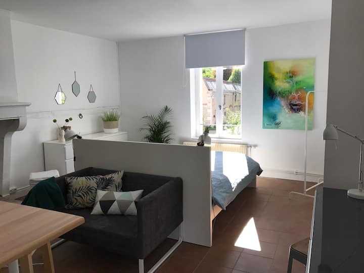 L’Atelier 21 Waterfront Studio Houses for Rent in Rougemont, France