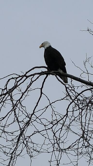 One of our long term guests