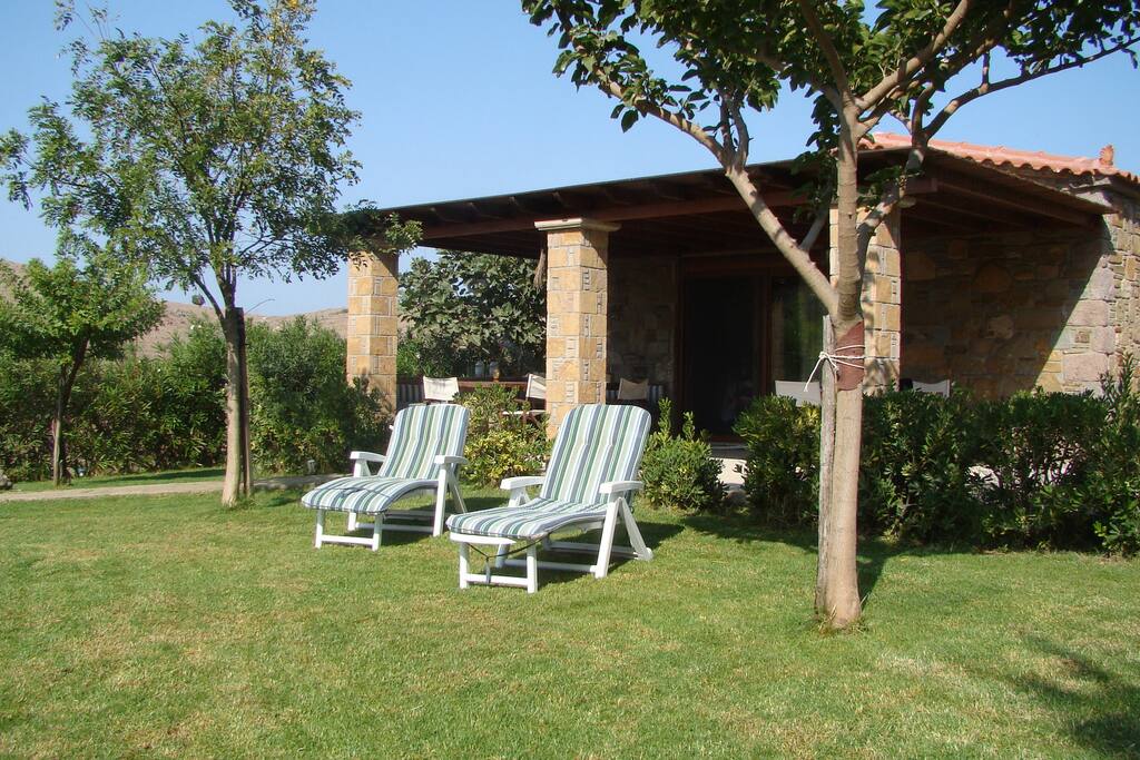 sunbeds in garden