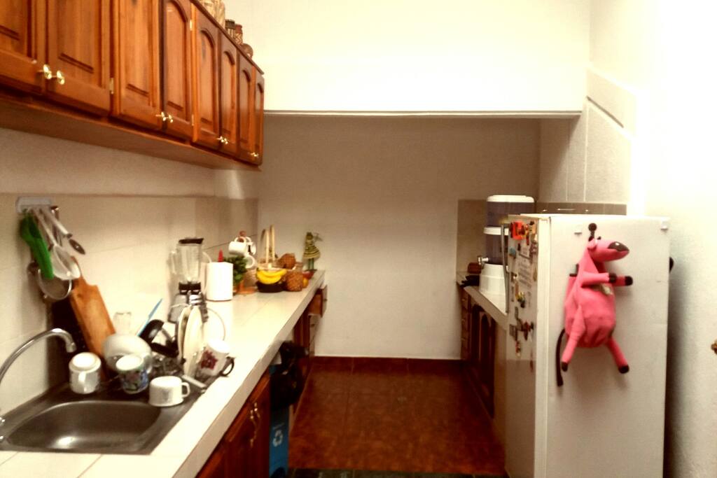 La Cocina es amplia, siempre provista de agua, café, frutas, galletas, etc.
