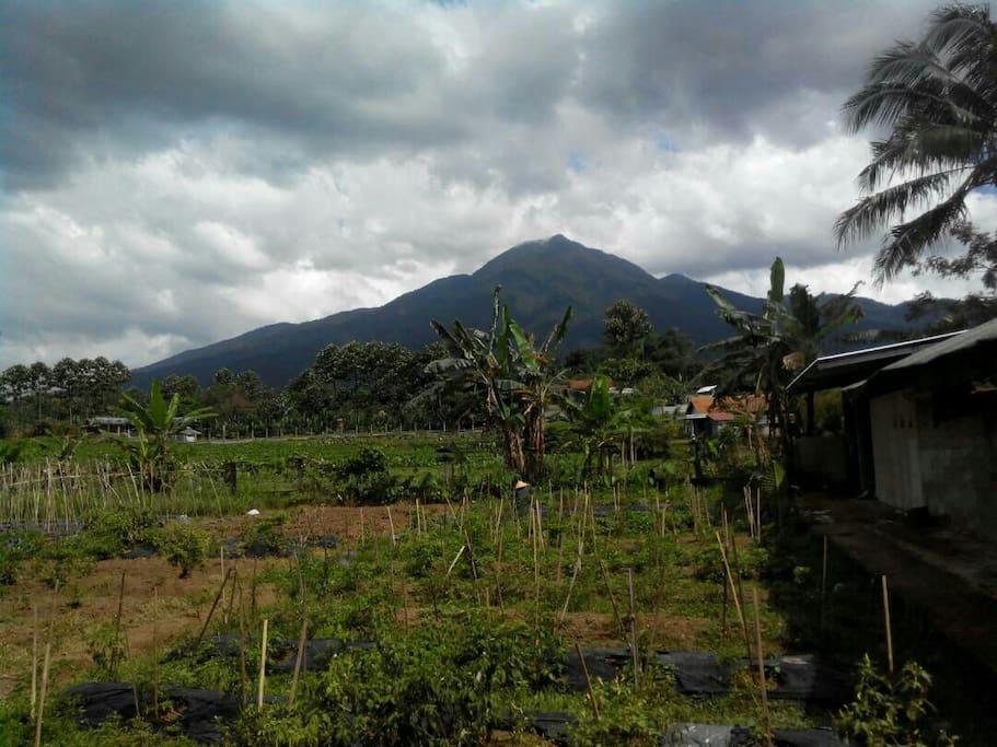 View Gunung Salak