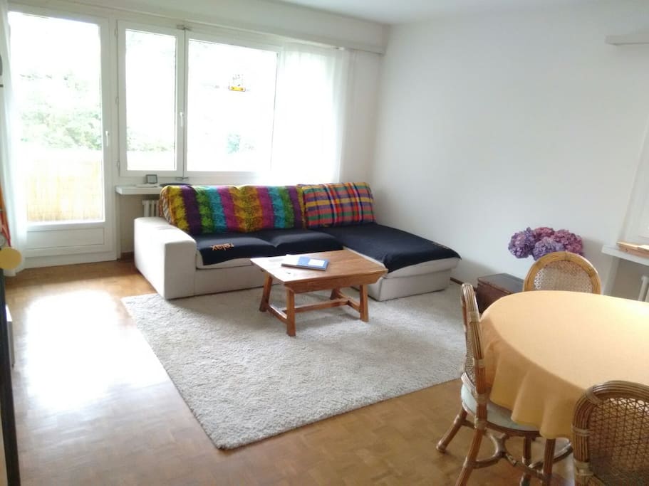 The living room and kitchen are accessible for everyone in the apartment