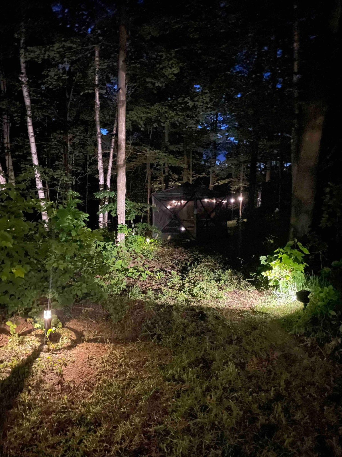 The illuminated pathway winds through the forest, guiding towards a cozy camper nestled among trees. Soft lighting highlights the route, while the darkened woods create a serene and secluded ambiance, inviting guests to enjoy the peaceful surroundings.