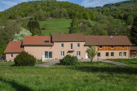Vosges – Renovated 180 m2 Old Mill