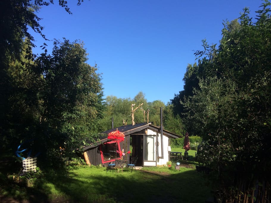 10 skridt fra skoven