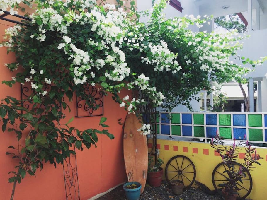 Pocket garden has trellis of bougainvillea that helps retain coolness in the living room. Fresh air everyday!