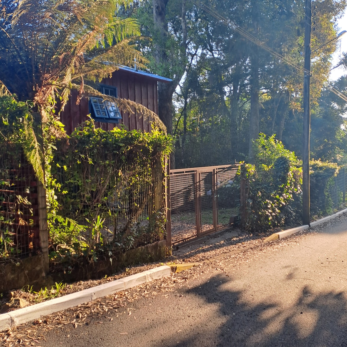 A charming exterior is displayed, featuring a rustic wooden structure surrounded by lush greenery. A gated entrance leads to a pathway covered in natural foliage, while sunlight filters through the trees, creating a serene and inviting environment.