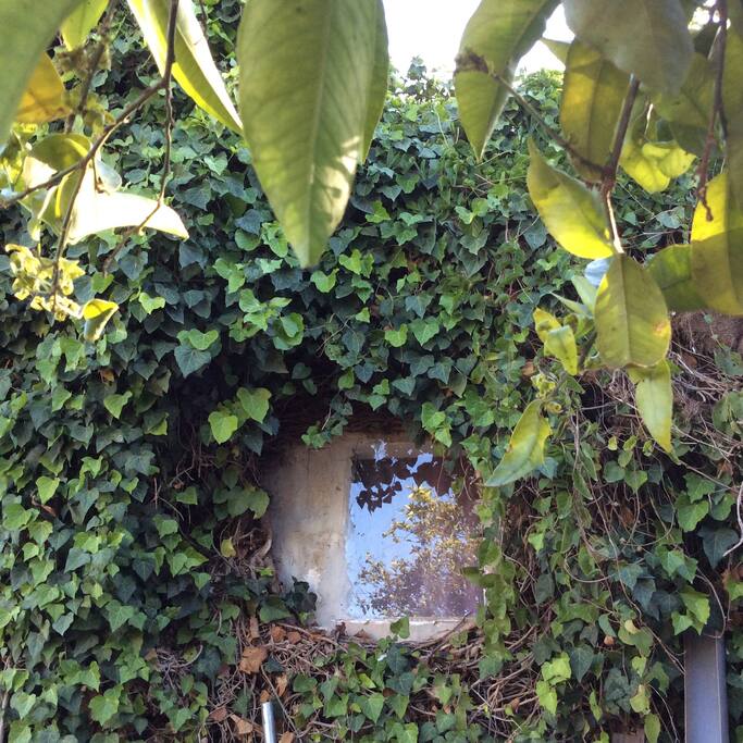 a tiny window of a bedroom