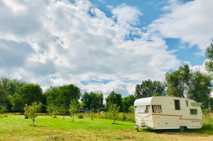 Vintage Shasta, Orchard, Peaceful, Get-Away Stay