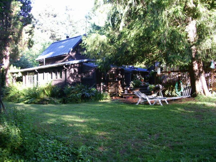 rear of house in July