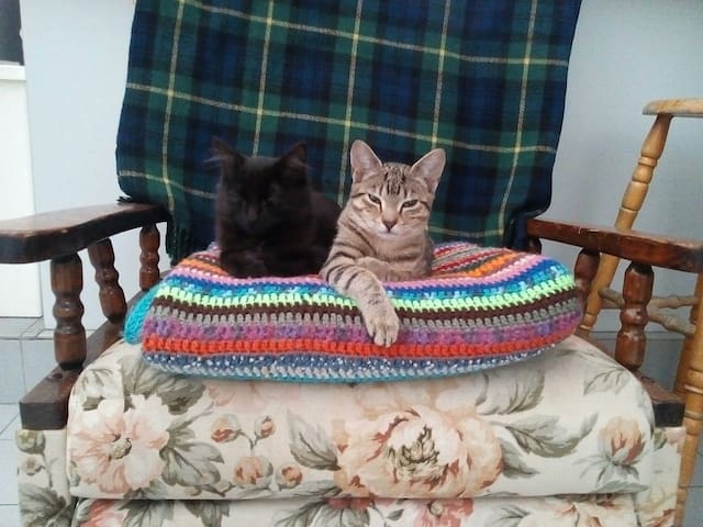 Private bedroom in sunny little house
