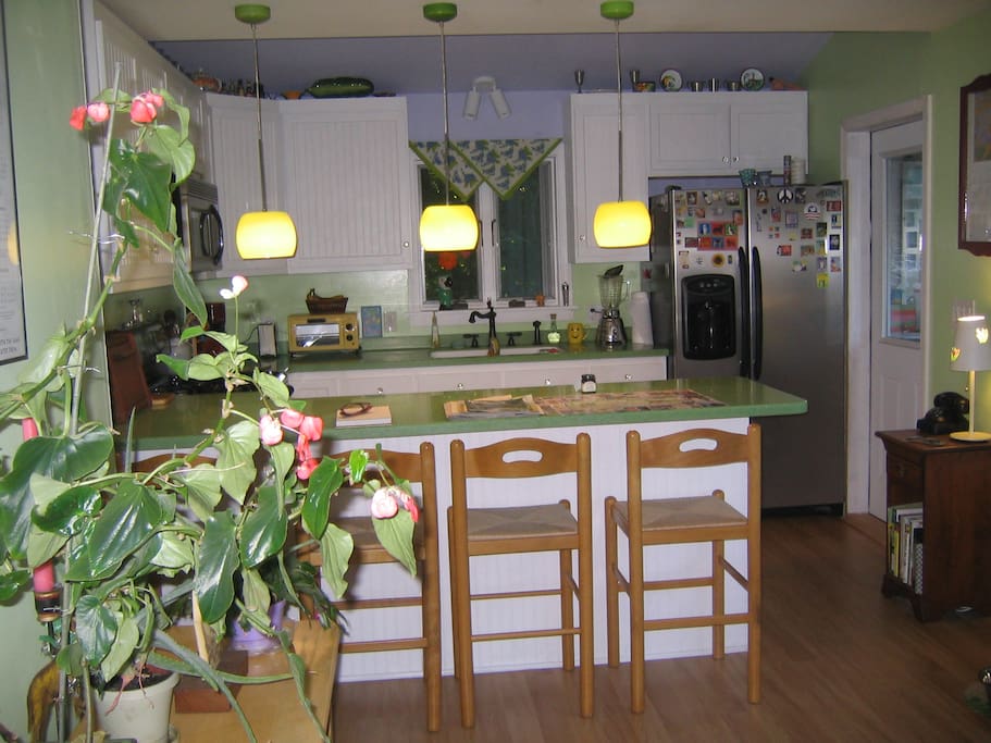 Large Kitchen