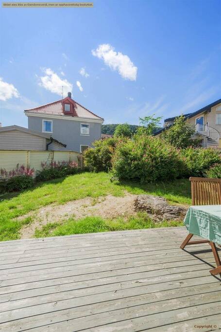 Big terrace in the backyard.