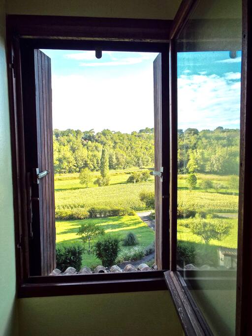 VIEW FROM BEDROOM WINDOW