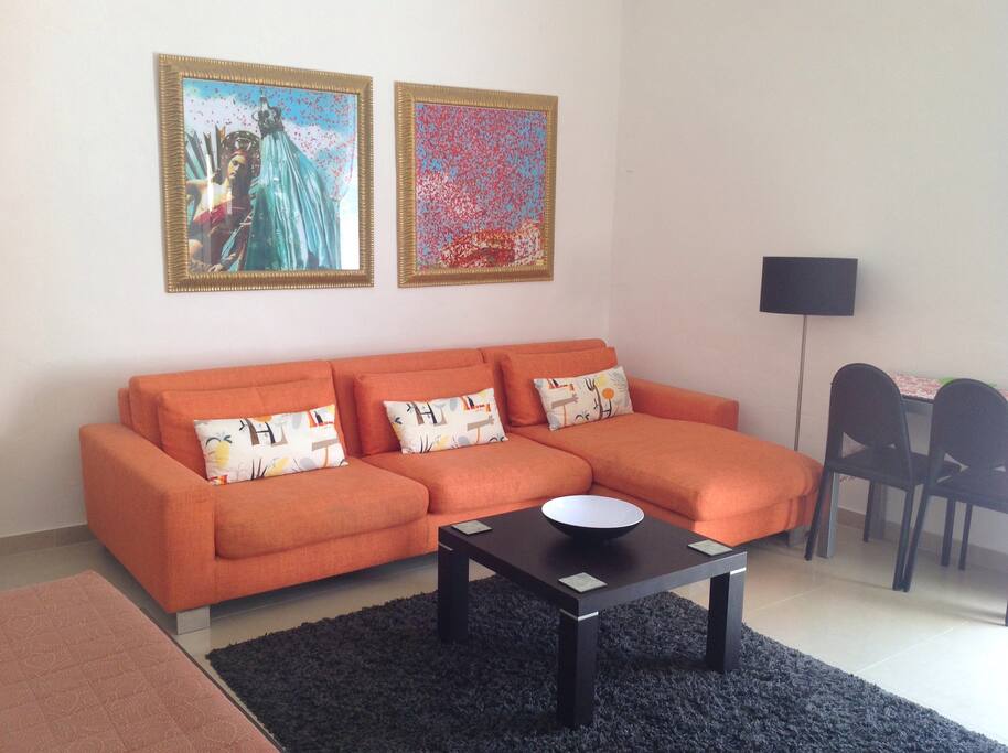 The stylish apartment
