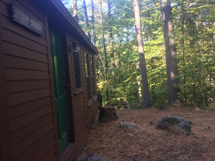 Exterior shot of front door and surroundings.