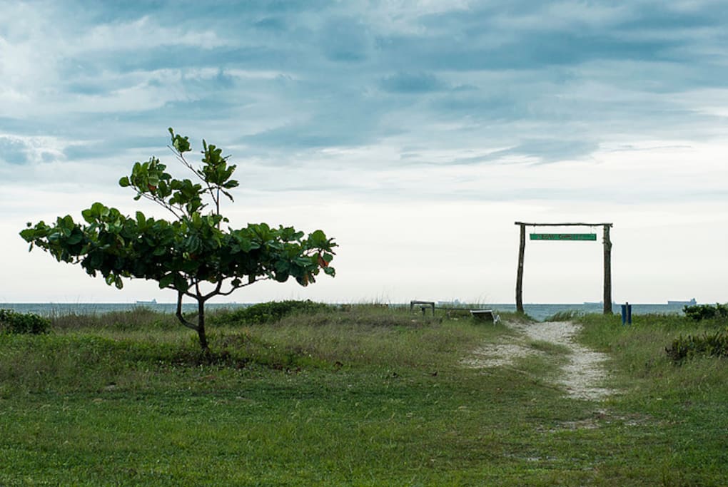 Bem-vindo, você em busca de sossego. SOm do mar, dos pássaros, boas conversas, paz e harmonia.