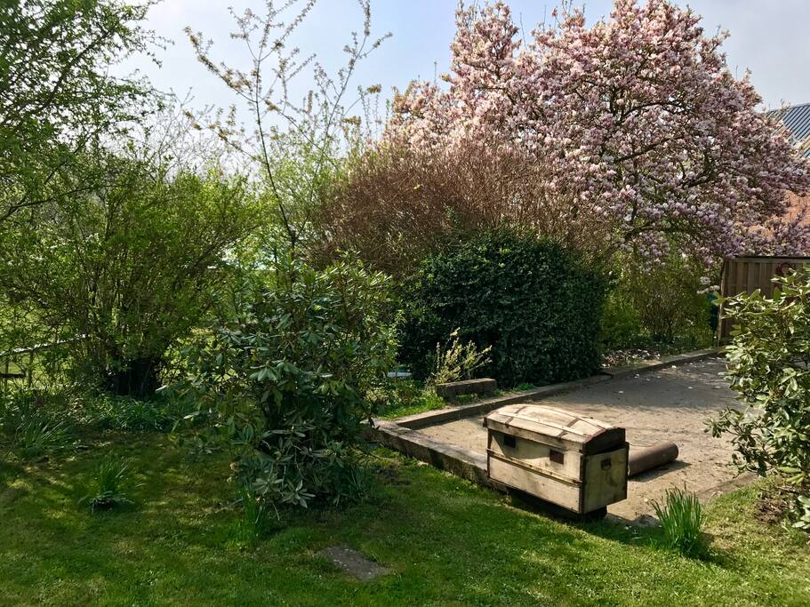 Terrain de pétanque derrière la maison