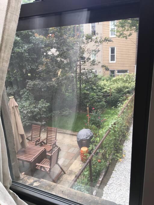 outdoor space in back