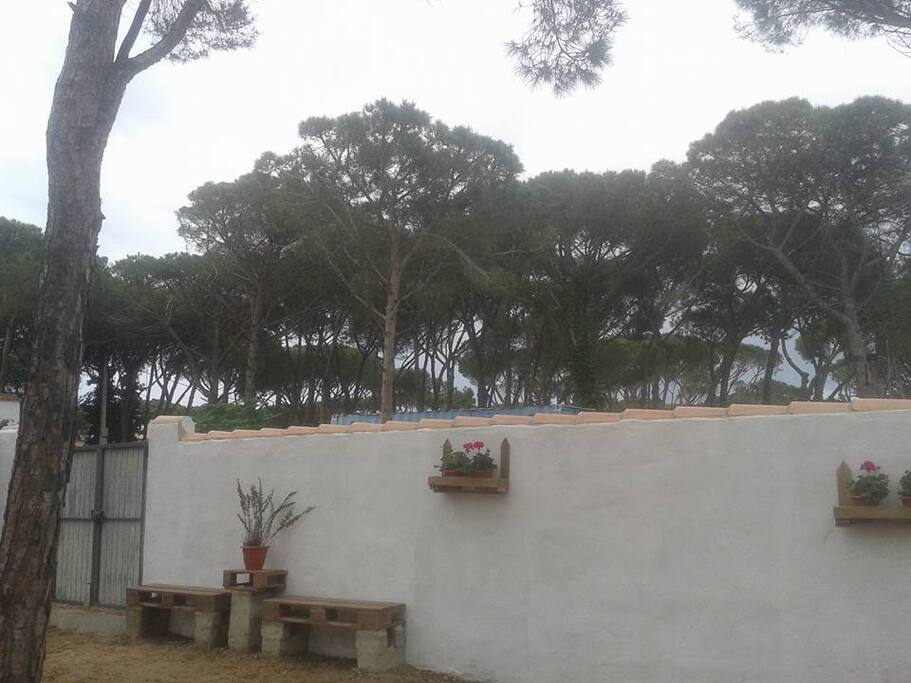 Paraje en plena naturaleza y acceso directo a zonas de ocio