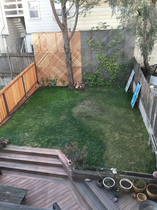 Backyard