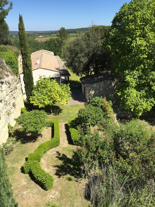The garden