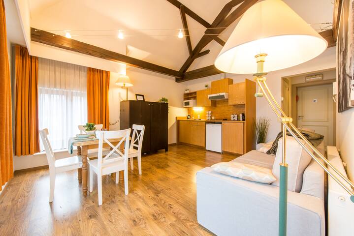 Spacious flat in the historical center w. elevator