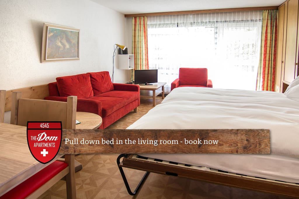 Living room with fold out bed