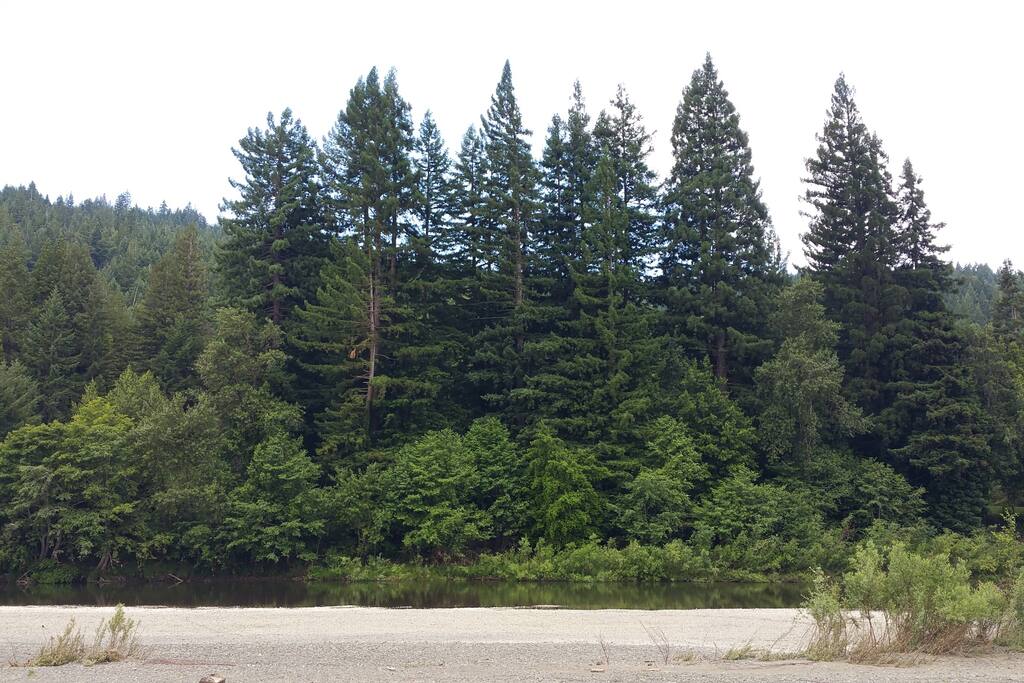 Looking West across the Eel RIver