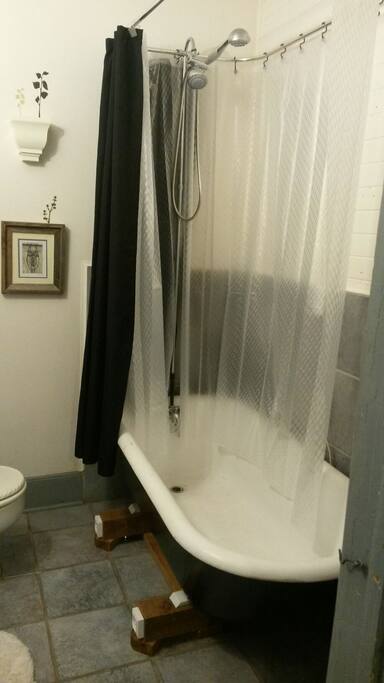 Claw foot tub and shower stall